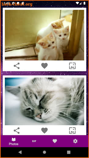 Infinicat Pro - cat photos and GIFs (no ads) screenshot