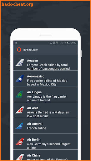 Infinite Flight Crew screenshot