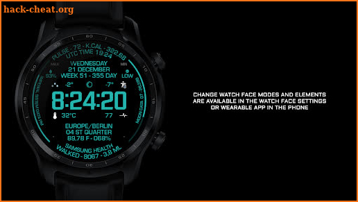 INFO MOD ONE Watch Face screenshot