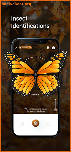 Insect ID - Insect identifier app screenshot