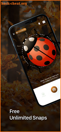 Insect ID - Insect identifier app screenshot