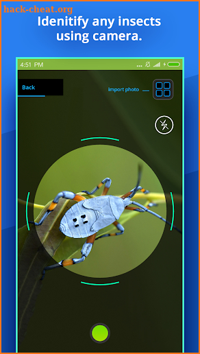 Insect Identifier screenshot