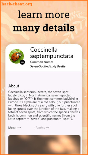 Insect identifier app - identity insects screenshot