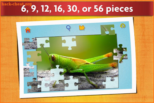 Insect Jigsaw Puzzles Game - For Kids & Adults 🐞 screenshot