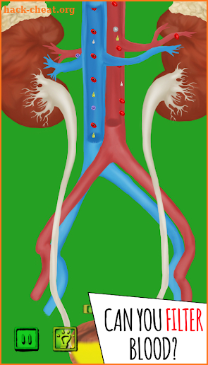 Inside The Human Body by Making Sense Games screenshot