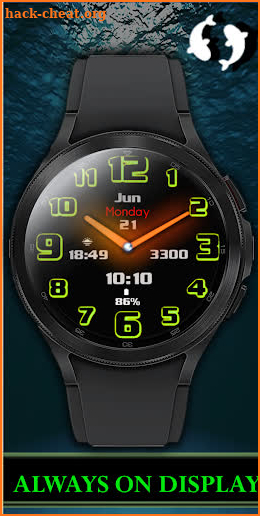 Inspire X - Analog Watch Face screenshot