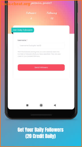 Insta Daily Follower screenshot