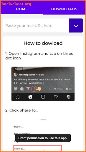 Insta Downloader screenshot