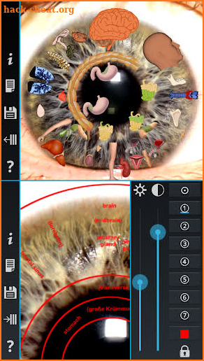 Iridology Unlocker screenshot