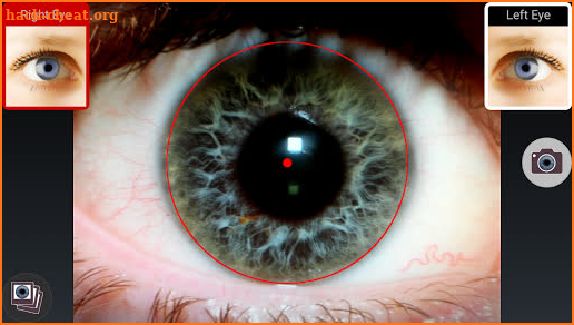 Iridology Unlocker screenshot