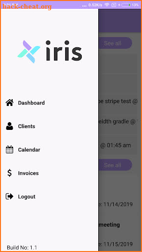 Iris Works screenshot