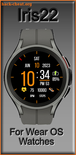 Iris22 Digital Watch Face screenshot