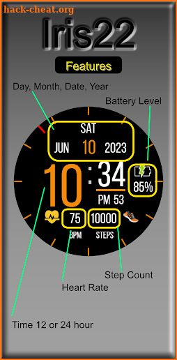 Iris22 Digital Watch Face screenshot