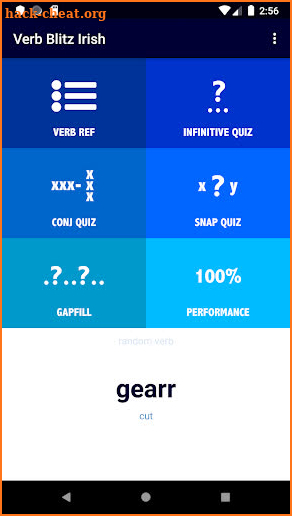 Irish Verb Blitz Pro screenshot