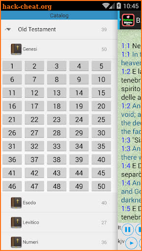 Italian Holy Bible Audio Book+ screenshot
