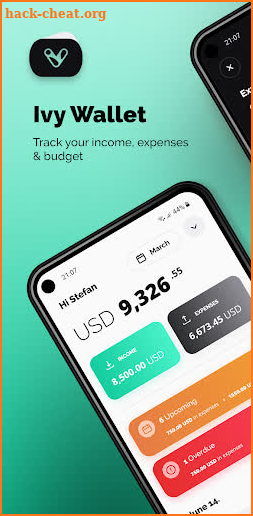 Ivy Wallet: money manager screenshot