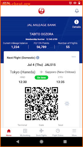 JAL screenshot