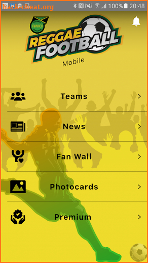 Jamaican Football Federation screenshot