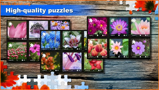 Jigsaw puzzle: Flower game blossom saga for family screenshot