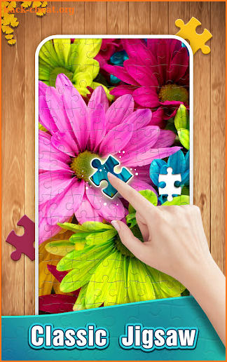 Jigsaw Puzzles screenshot