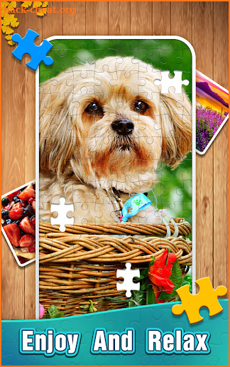 Jigsaw Puzzles screenshot