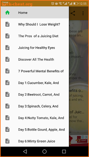 Juicing Recipes For Weight Loss-30 Days Plan screenshot