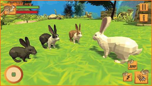 Jungle Bunny Rabbit Simulator screenshot