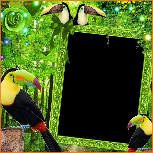 Keel Billed Toucans Insta DP screenshot