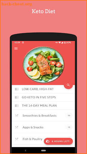Ketogenic Diet for Beginners screenshot