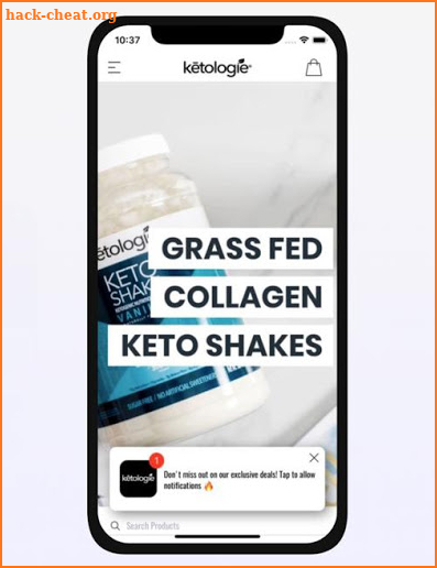 Ketologie screenshot