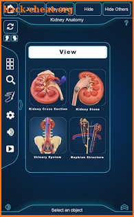 Kidney Anatomy Pro. screenshot