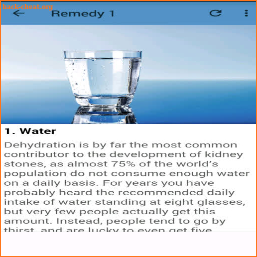 Kidney Stones Home Remedies screenshot