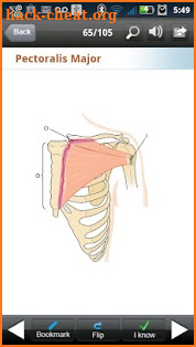 Kinesiology Flash Cards screenshot