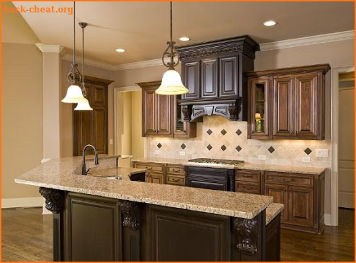 Kitchen Remodel Ideas screenshot