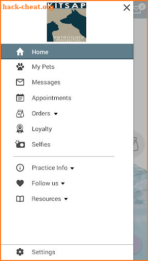 Kitsap Vet screenshot