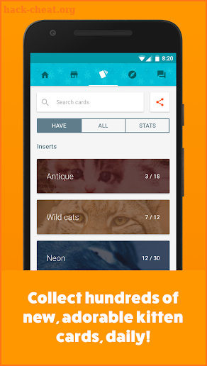 Kitten Cards screenshot