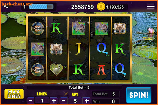 Kitten Slots screenshot