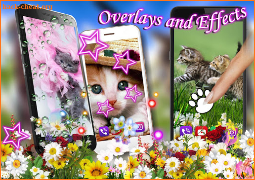 Kittens Lovely Live Wallpaper screenshot