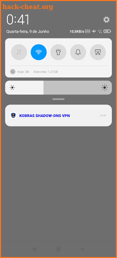 KOBRAS SHADOW-DNS VPN screenshot