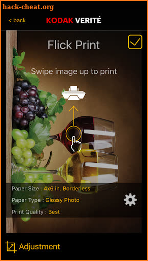 KODAK VERITE Print&Scan screenshot