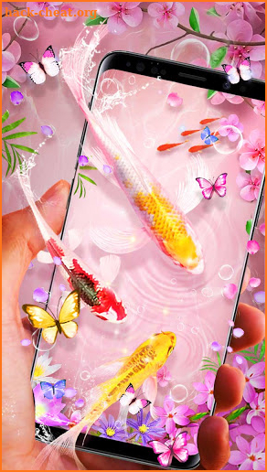 Koi Fish Aquarium Theme screenshot