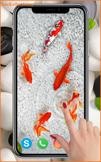 KOI Fish Live Wallpaper : New fish Wallpaper 2020 screenshot