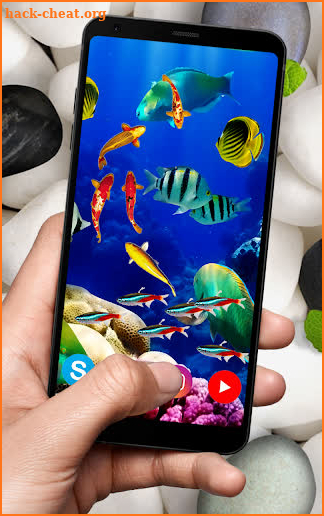 KOI Fish Live Wallpaper : New fish Wallpaper 2020 screenshot