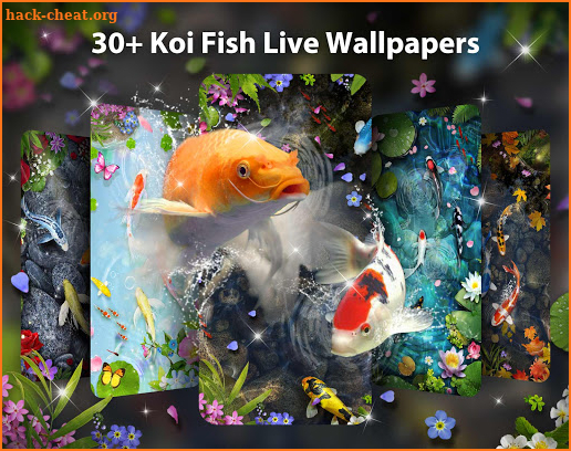 Koi Fish Live Wallpaper Themes screenshot