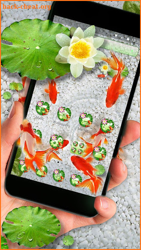 Koi Fish Lotus Theme screenshot