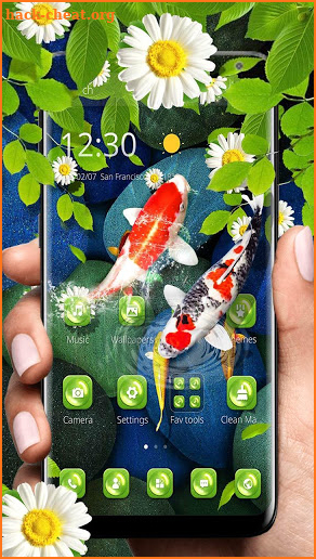 Koi fish themes screenshot