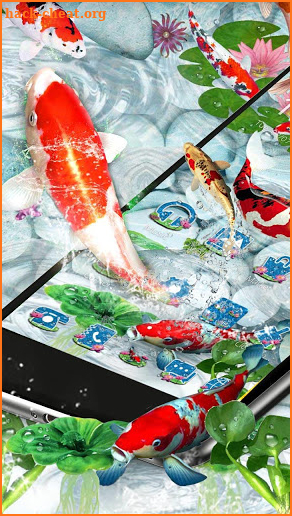 Koi fish themes screenshot