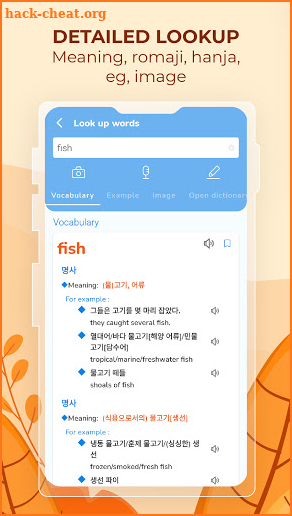 Korean English dictionary with romaji - JAEMY screenshot