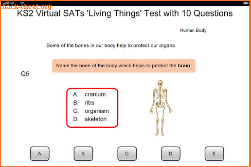 KS2 SATs Science screenshot