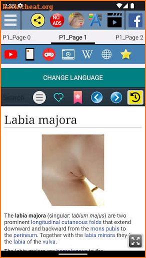 Labia Majora Anatomy screenshot